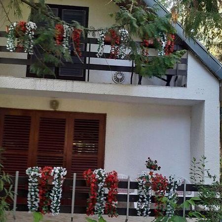 Vila Picur Lak Siófok Exteriér fotografie
